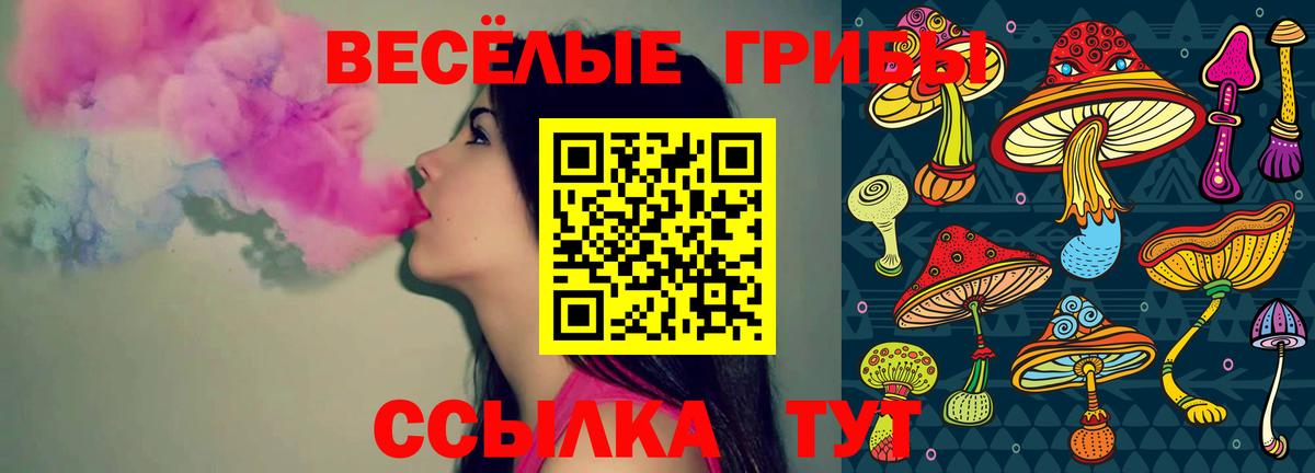 Галлюциногенные грибы Magic Shrooms Среднеуральск